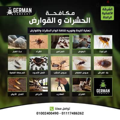 شركة رش حشرات المنزل