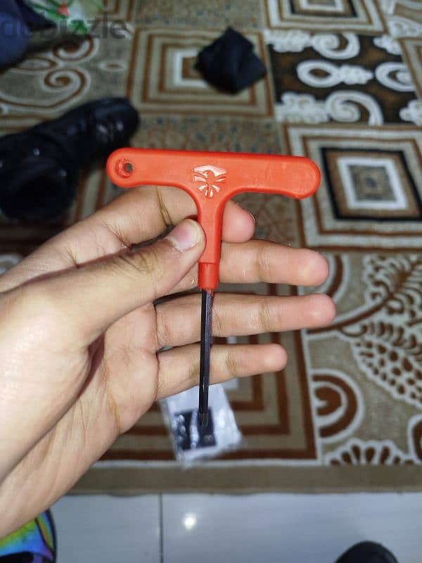 skate flying eagle FBS+ 13