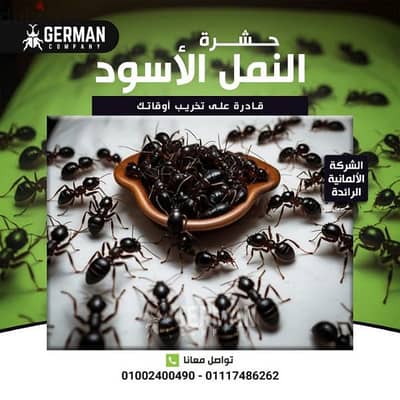 مكافحة حشرات المنزل