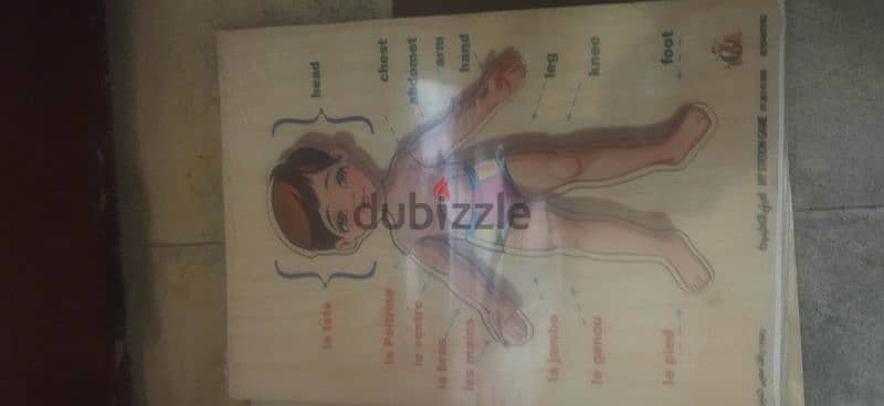 educational puzzle 2