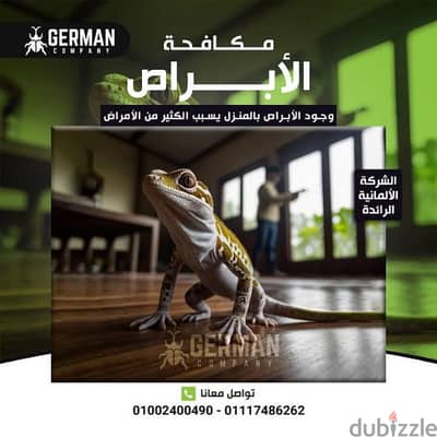 مكافحة حشرات المنزل