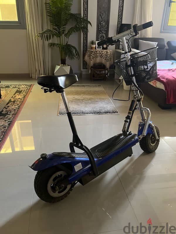 Electric Scooter 1