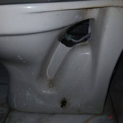 قاعدة تواليت لون بيچ