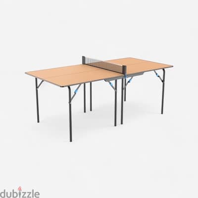 ping pong table