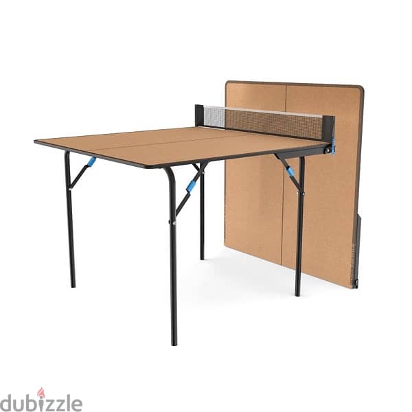 ping pong table 2