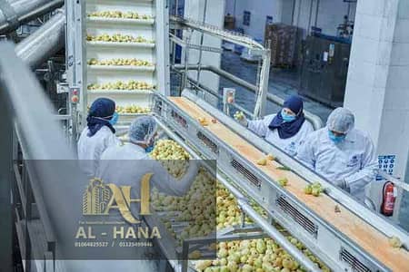 مصنع غذائي للايجار التجمع الخامس مساحه (٣٠٠)متر