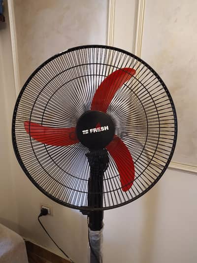 Fresh fan