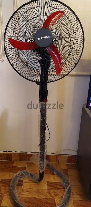 Fresh fan 1