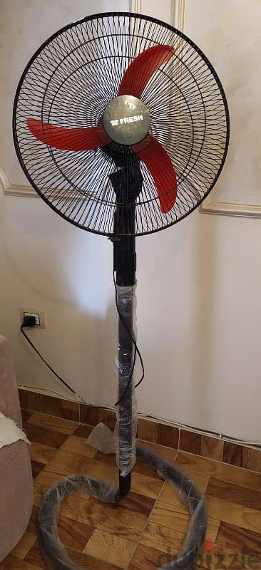 Fresh fan 2