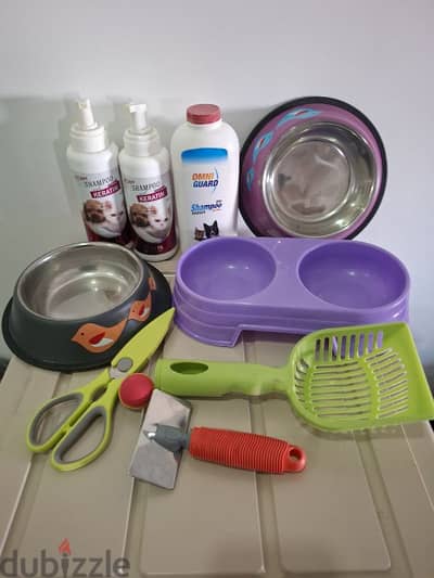 Cat breeding secrets