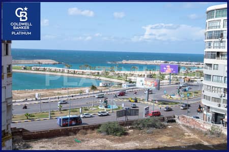 شقة للبيع 276 م زيزينيا ( شارع محمود الديب )
