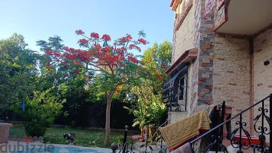 فيلاالاصلاح بالمعموره