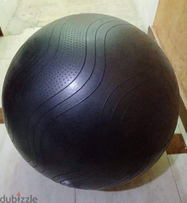 Exercise Yoga Ball 1
