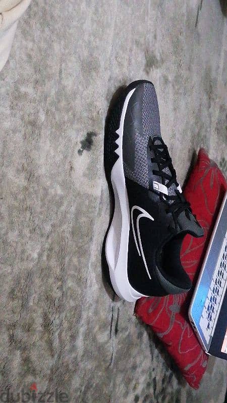 Nike Zoom X  Zegama Jumbo 2025 2