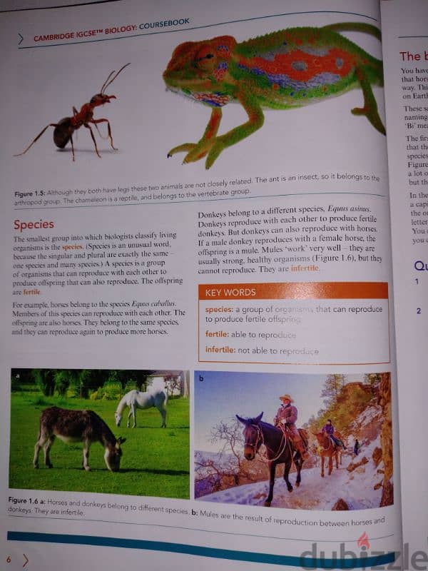 Cambridge IGCSE Biology Coursebook 4