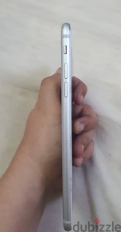 الاسكندرية الفلكي السيوف