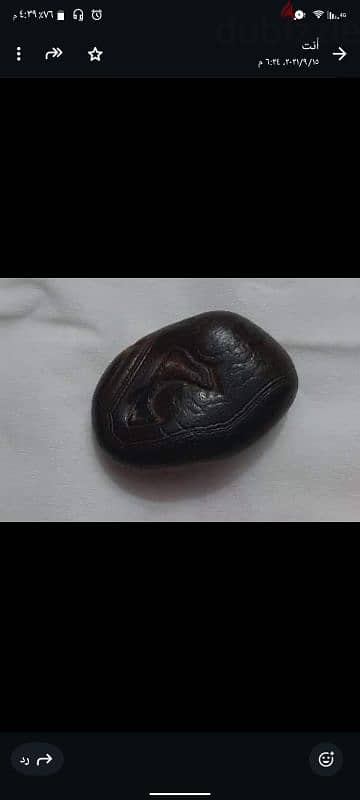 حجر سجين نادر