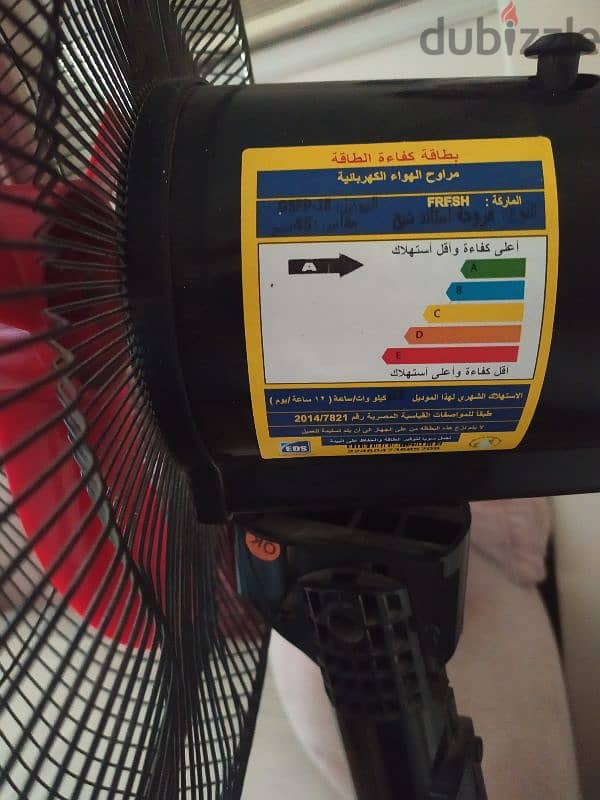 Fresh fan 3