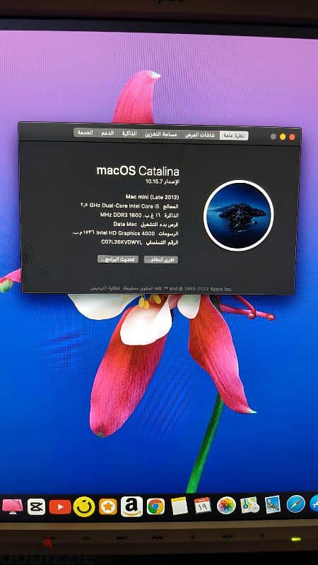 ماك مينى 2012 8