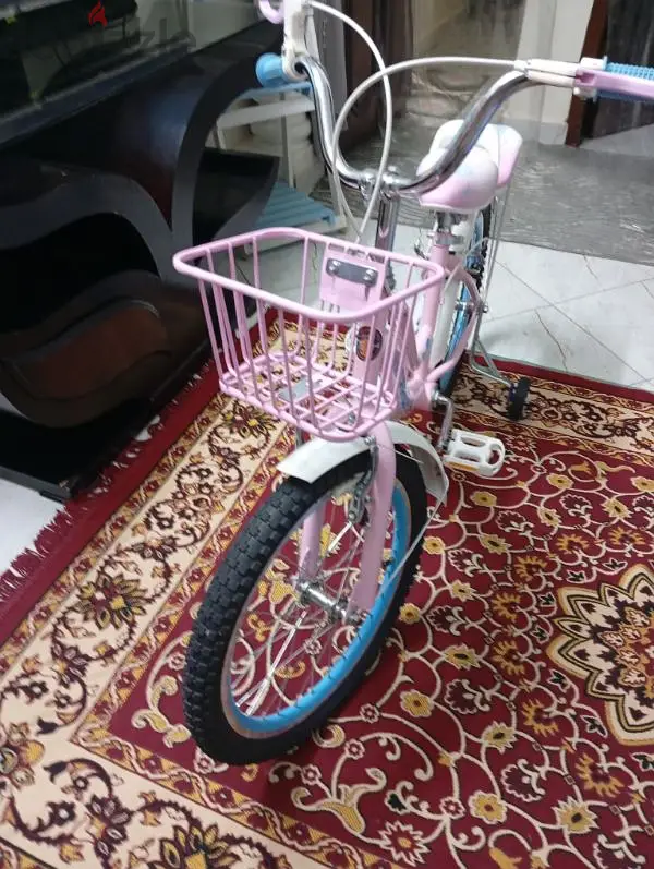 New bicycle65588804107139121