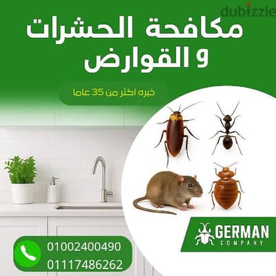 رش مبيدات حشرات