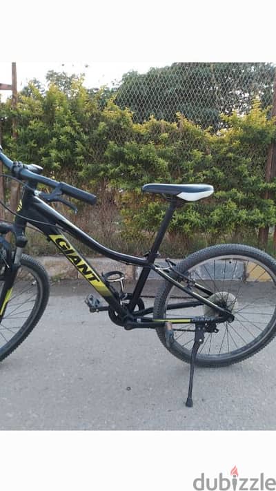 giant bike