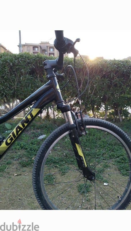 giant bike 1