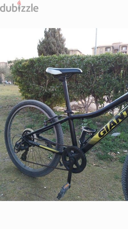 giant bike 2