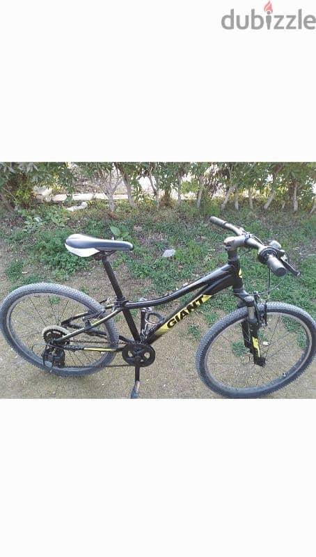 giant bike 6