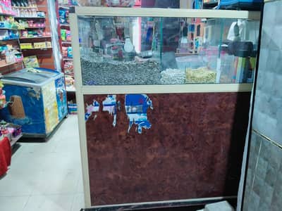 العامرية الإسكندرية