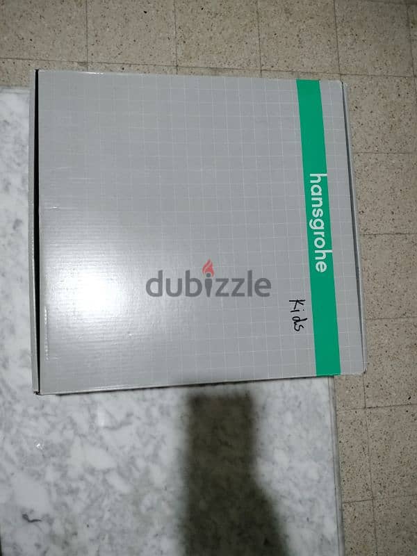 Hansgrohe Raindance E shower head 300 jet ecoSmart 1