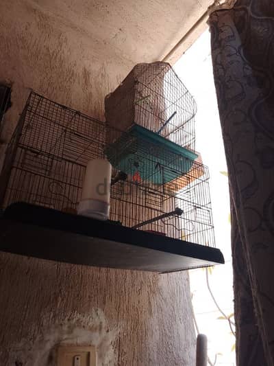 اكتوبر الجديده