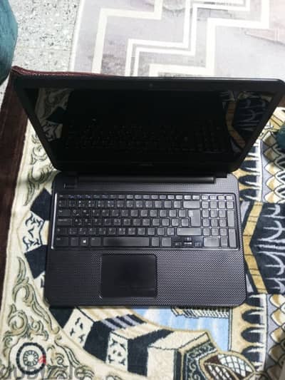طوسون الأسكندرية