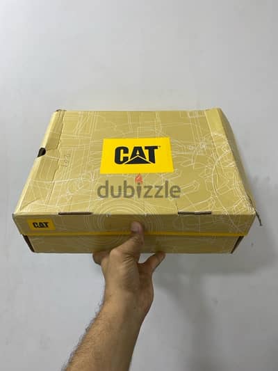CAT Shoes