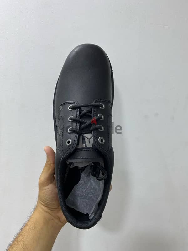 CAT Shoes 3