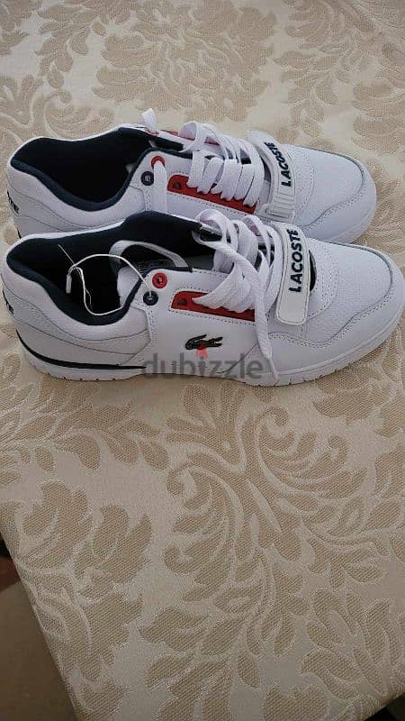 Lacoste original size 41 42 1