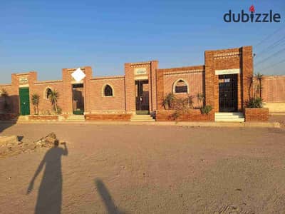 Grave for sale 40 meters Armed Forces graves Al-Moshir Axis Al-Ahmar Mountain Nasr City