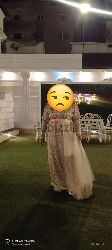 Evening Dress