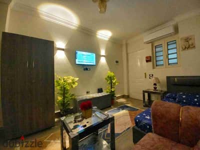 Furnished Studio with Private Entrance, Sixteenth District