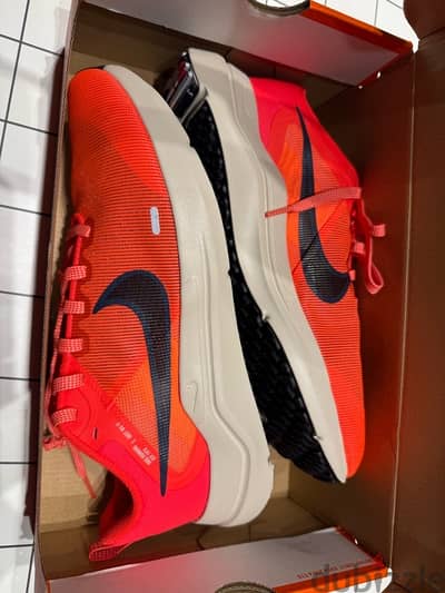 Nike Downshifter 12 Crimson