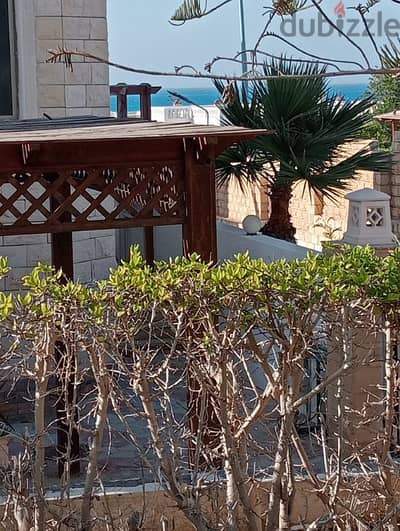شاليه للايجار بالساحل الشمالي قريه جرين بيتش شاليه للايجار بالساحل الشمالي قريه جرين بيتش