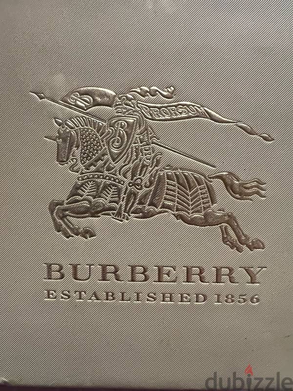 burberry watch 2