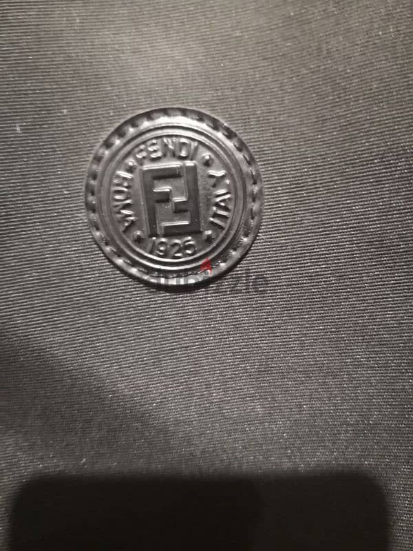 Fendi bag (Original) 2