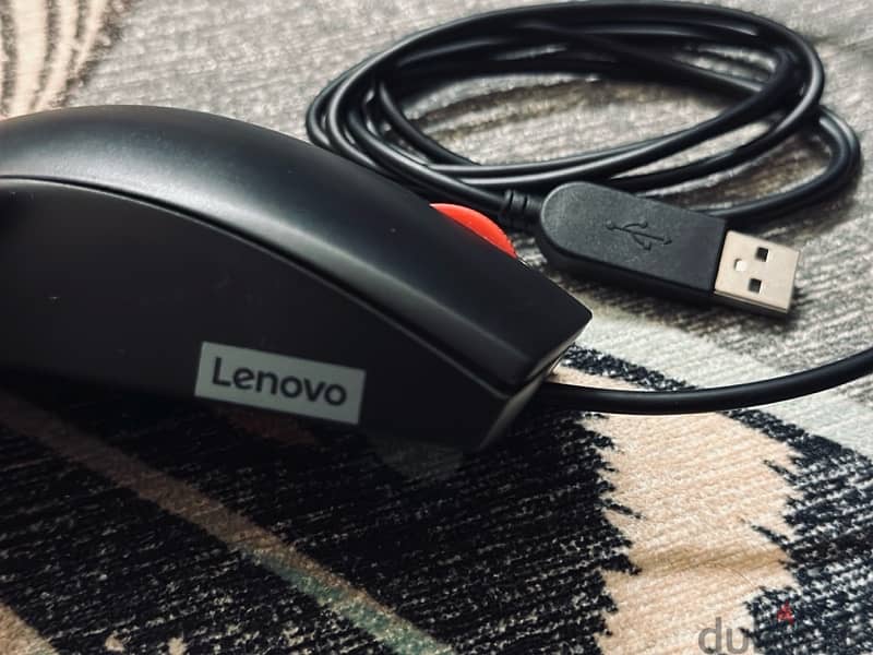 Mouse Lenovo 120 Wired 2
