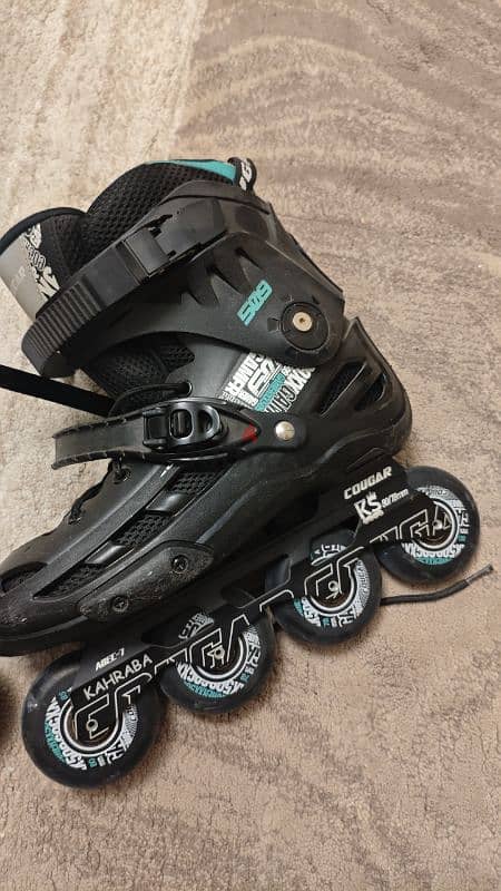 skate 6