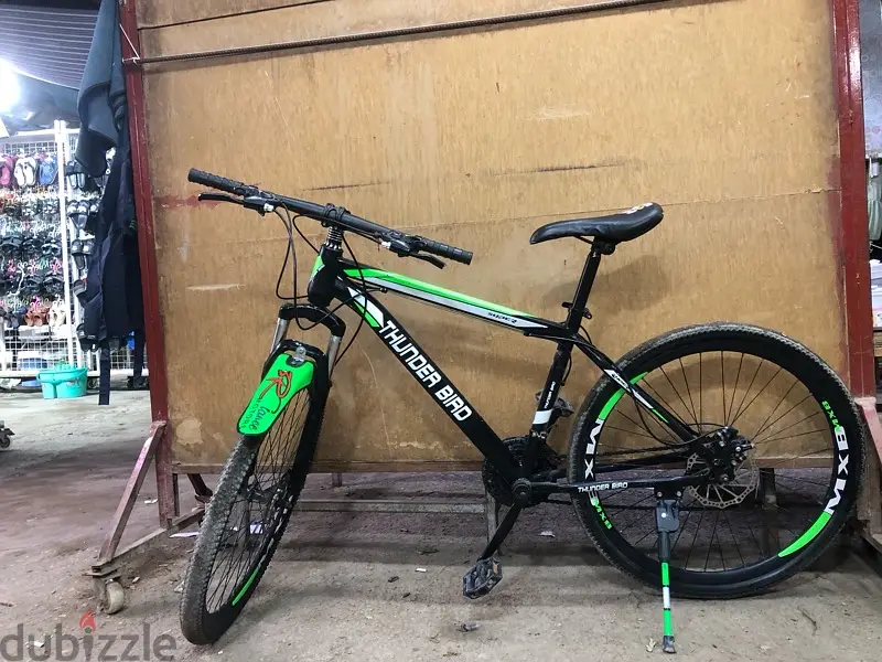 Used Calf in New Condition