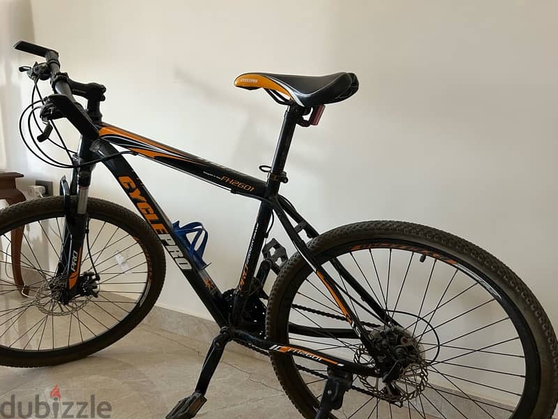 Mountain Bike 1