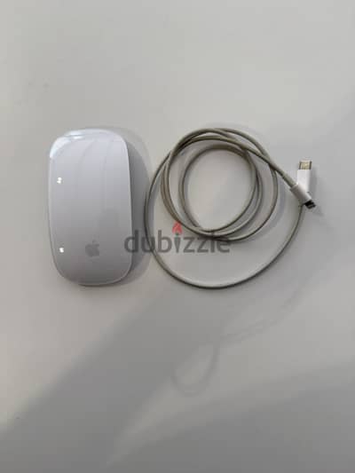 Apple Magic Mouse (2nd Gen) — pristine + USB-C → Lightning cable