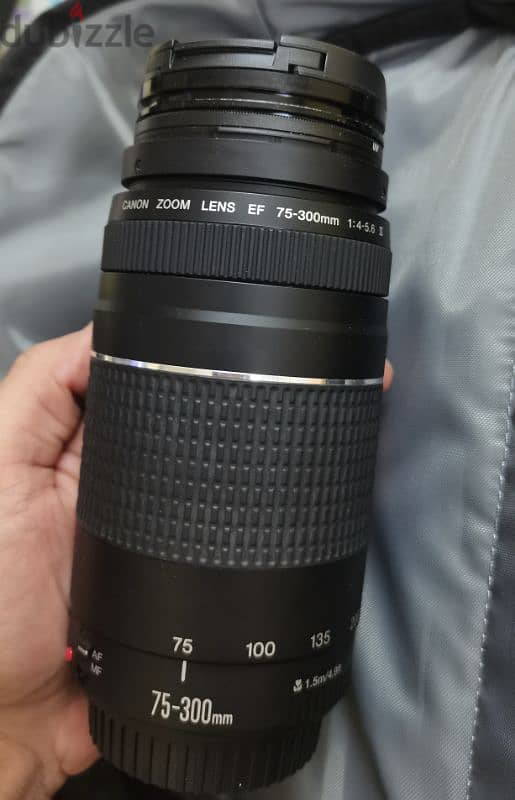 canon lens 75-300 عدسة كانون 2