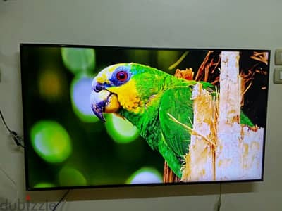 تليفزيون سامسونج 43بوصه